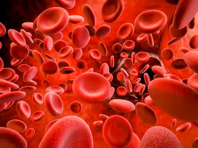 ഹീമോഫിലിയ എന്ന ‘രാജകീയ രോഗം’ hemophilia Hemophilia a Royal Disease