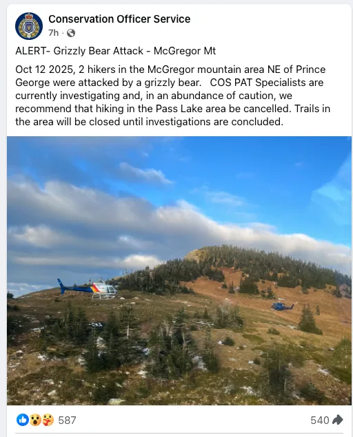 Image 2025 10 13 at 8.51 PM Canada