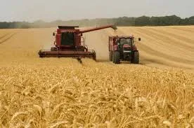 US wheat farmers Canada Malayali