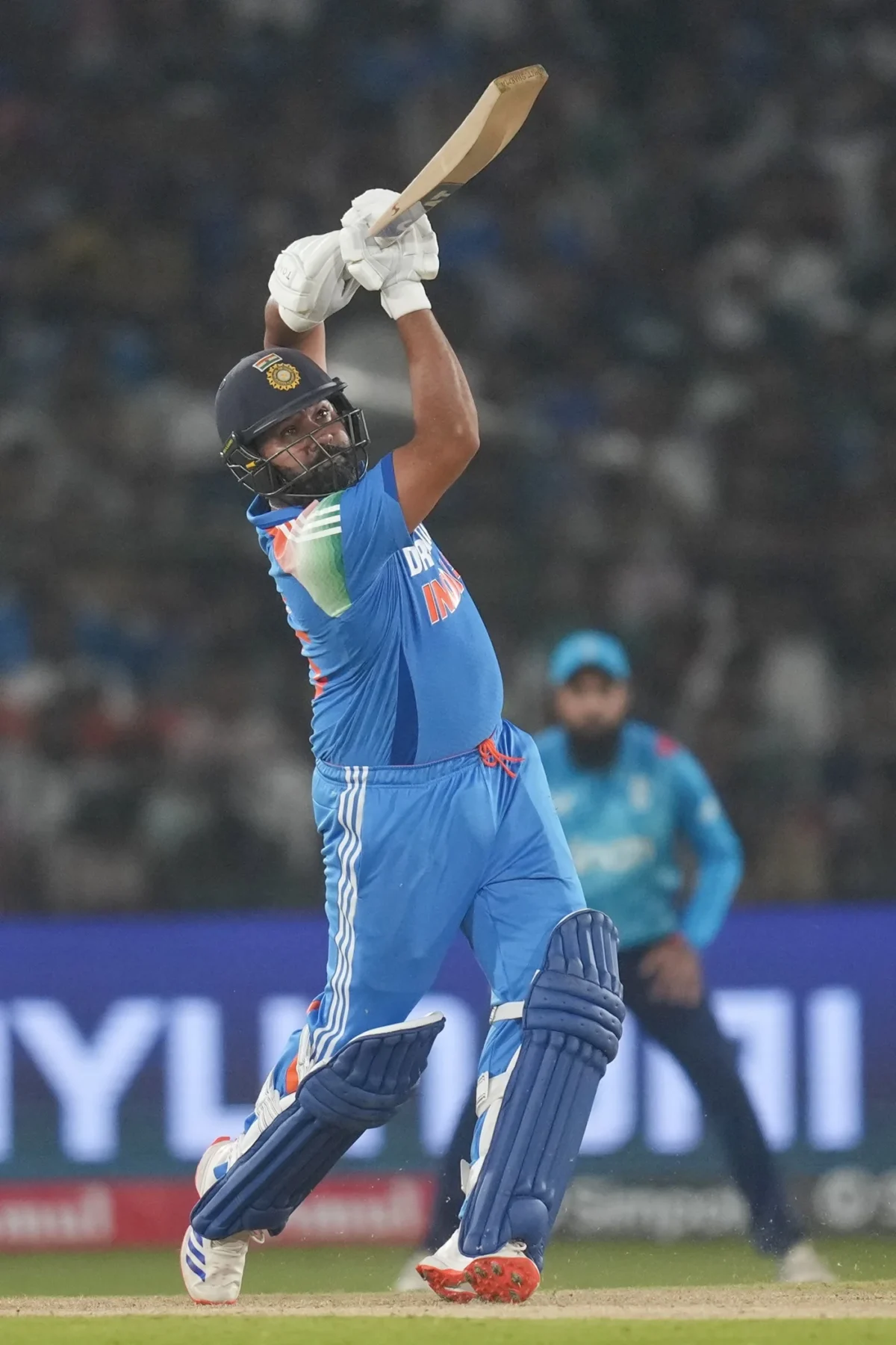 396315 Cricket